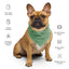 Sebastian & Clementine Scalloped Green Bandana For Dogs and Cats