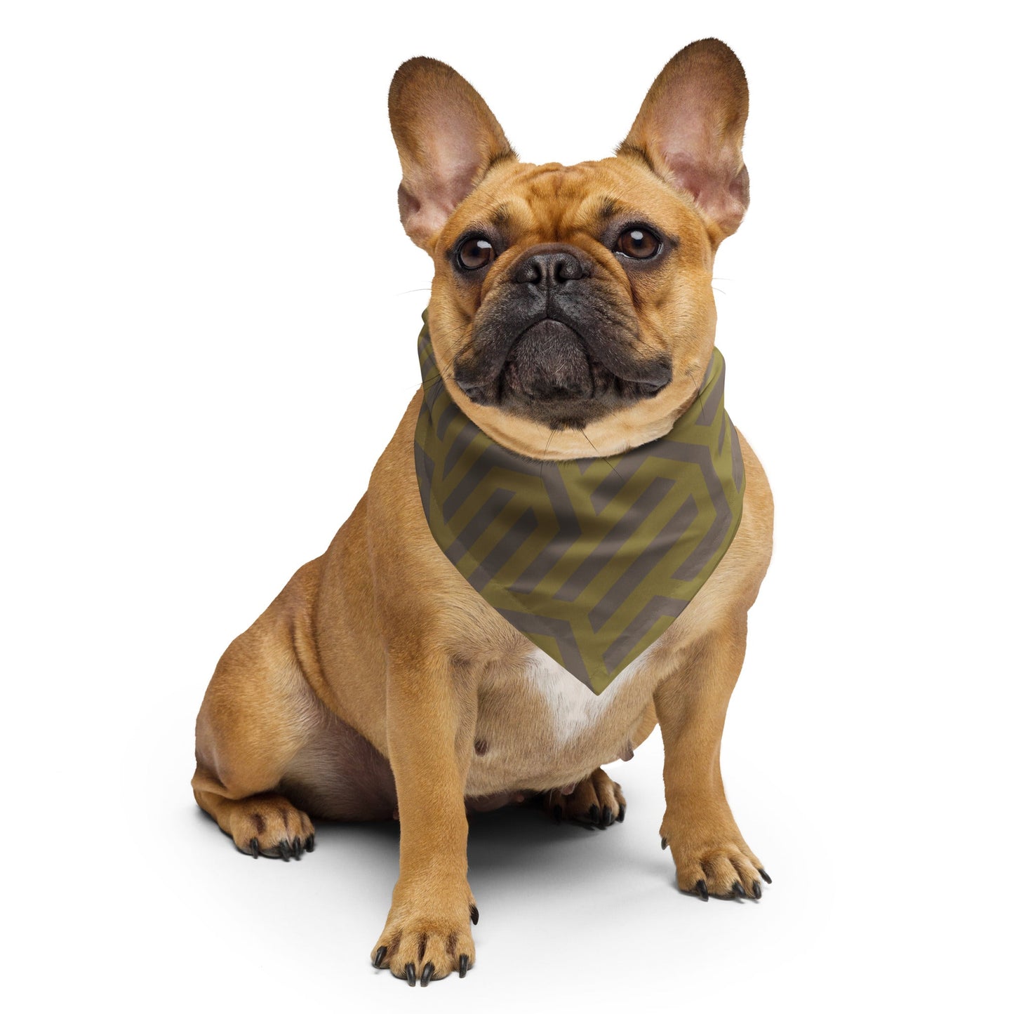 Sebastian & Clementine Forward Movement Bandana For Dogs and Cats