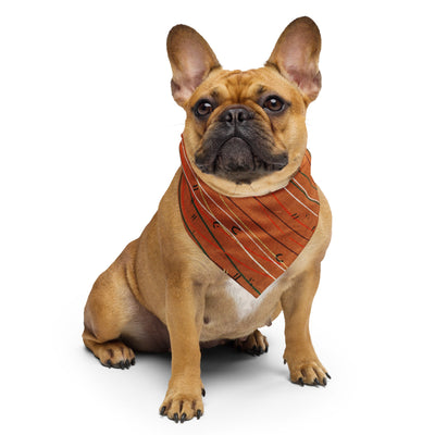 Sebastian & Clementine Orange Shima-Shima Bandana For Dogs and Cats