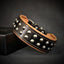 "Boston" collar