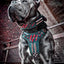 The "Haunted'' collar LIMITED