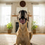 I Love You Pet Supply LLC Carob Dog Cookies
