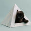 'Oasis' Cardboard Cat Pyramid