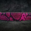 The ''Rock Python'' collar PINK