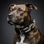 The ''Platinum'' collar