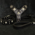 "EROS" BIG dog SET- Harness - collar - lead. All Black