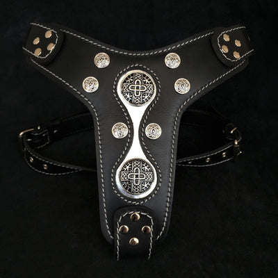 The "Hektor" harness