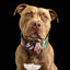 The “Ghostbuster” collar -LIMITED
