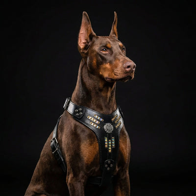 The Atlantis Harness