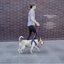 Patented Magnetic Dog Leash - One-Hand Connect & Release