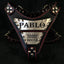 The "Metal" harness- Personalized!