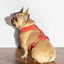 Luxe Harness