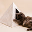'Neutral Palm' Cardboard Cat Pyramid