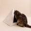 'Neutral Palm' Cardboard Cat Pyramid