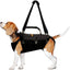 NeoAlly 5-in-1 Sturdy Dog Lift Harness Full Body Support