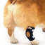 NeoAlly Dog Rear Leg Hock Brace with Safety Reflective Straps for Small Dogs [Short Version]