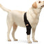 NeoAlly Elbow and Shoulder Brace for Dogs and Cats - Optimal Support for Pet Mobility