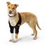 NeoAlly Elbow and Shoulder Brace with Spring Inserts for Dogs and Cats - Enhance Pet Mobility with Optimal Support