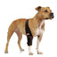 NeoAlly Elbow and Shoulder Brace with Spring Inserts for Dogs and Cats - Enhance Pet Mobility with Optimal Support