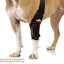NeoAlly Elbow and Shoulder Brace with Spring Inserts for Dogs and Cats - Enhance Pet Mobility with Optimal Support