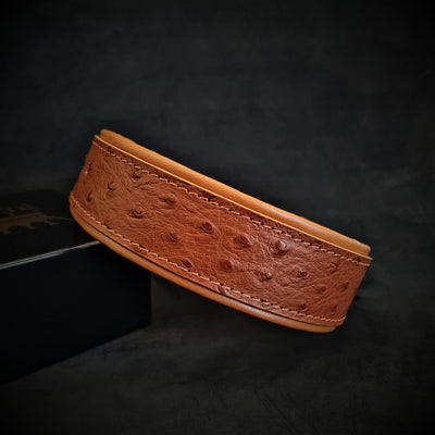 The "Ostrich" collar LIMITED