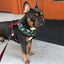Lumbersnack Reversible Harness