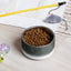 Sebastian & Clementine Gray Circles Pet Bowl