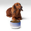 Sebastian & Clementine Venice Pet Bowl