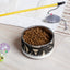 Sebastian & Clementine Composition XXII Pet Bowl