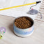 Sebastian & Clementine Venice Pet Bowl