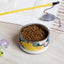 Sebastian & Clementine Yellow and Blue Pet Bowl