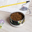 Sebastian & Clementine Genesis II Pet Bowl