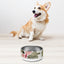 Sebastian & Clementine Studies Pet Bowl