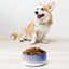 Sebastian & Clementine Venice Pet Bowl