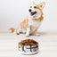 Sebastian & Clementine Rich Port Pet Bowl