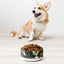Sebastian & Clementine Genesis II Pet Bowl