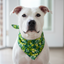 Saint Patrick's Day Dog Bandanas