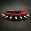 "Spiky" collar