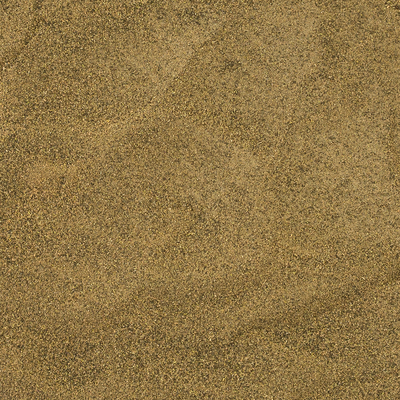 Sea Asparagus (Salt Substitute)