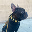 The "Maximus" collar 2 inch wide gold decoration