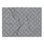 Sebastian & Clementine Gray Morphing Throw Blanket