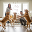 Much Loved Dog™ Peanut Butter BUNDLE