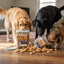Much Loved Dog™ Peanut Butter BUNDLE