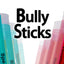 Bully Stick 4" - Revolutionary All Natural Birchwood Flavored Human Chewing Sticks | BiteMyWood